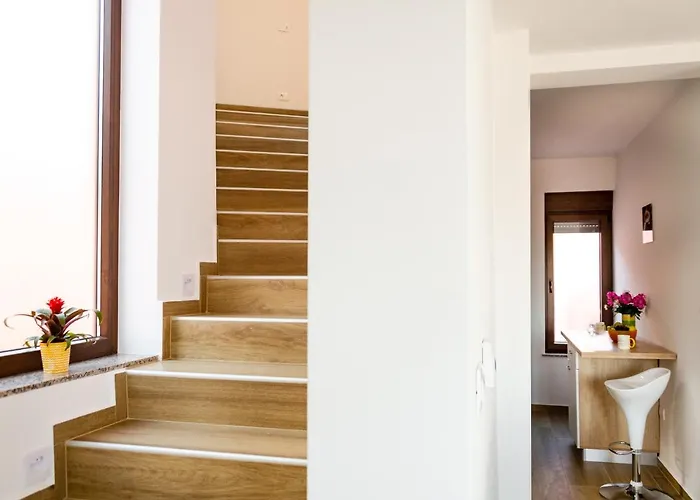 The View Zagore فيلة *