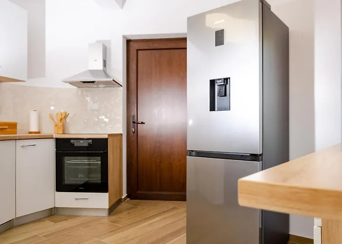 فيلة The View Zagore